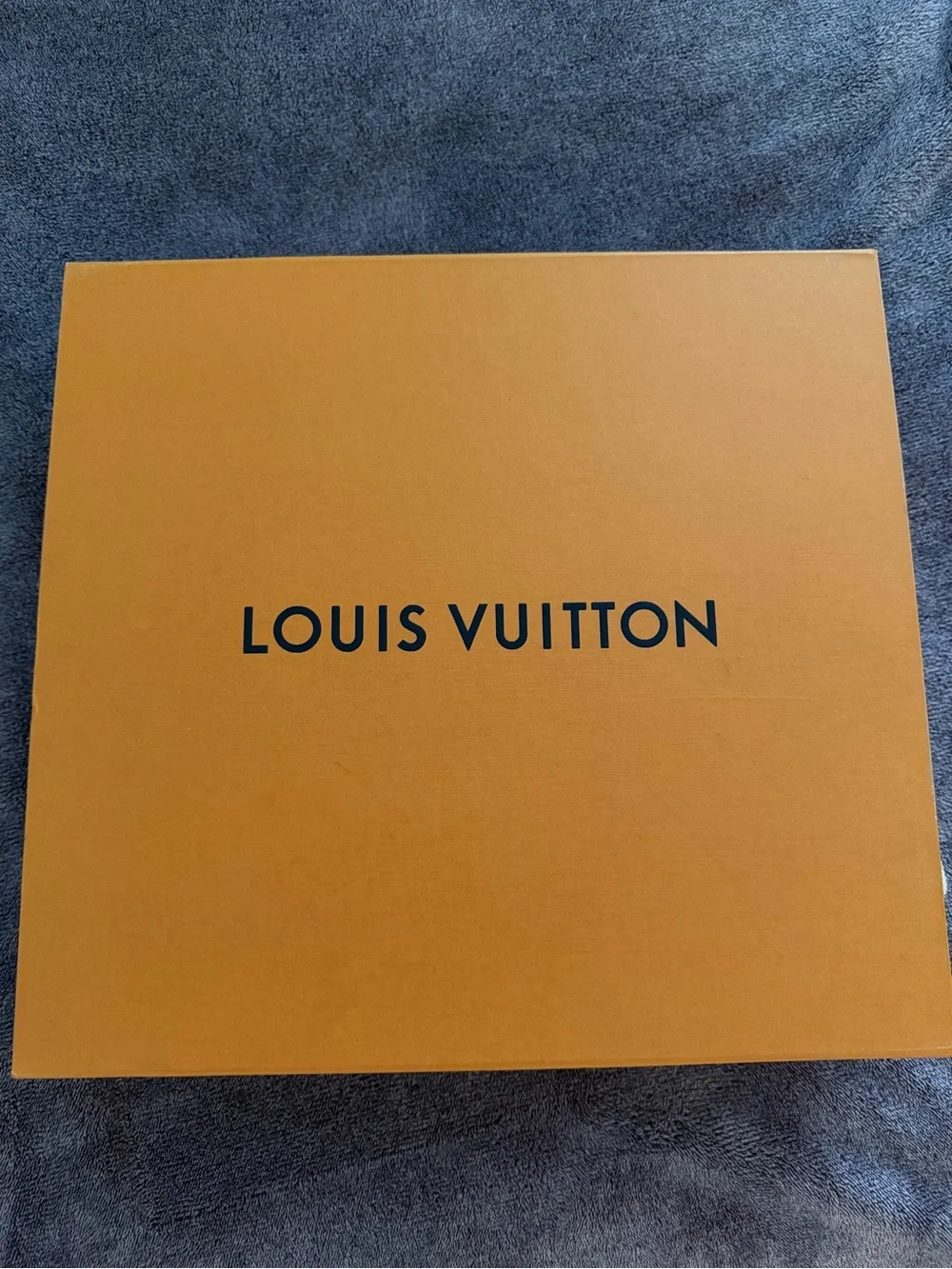 Louis Vuitton classic louis